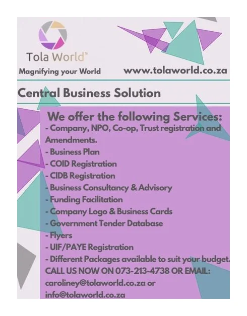 Business Consultancy and Advisory logo