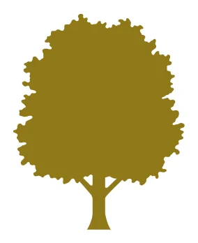 Marcy Blsck logo