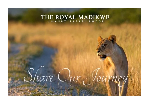 Safari Lodge South Africa logo