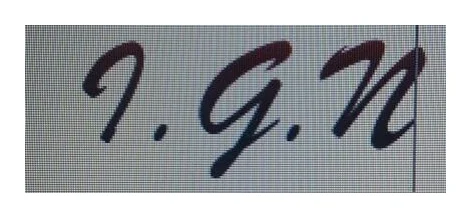 I.G.N Bookkeeping logo