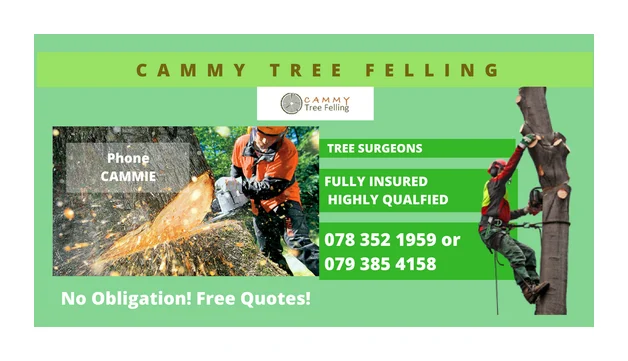 CAMMY Tree Felling logo