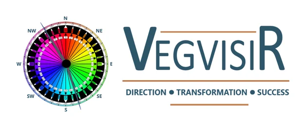 Vegvisir OD Learning and Development logo