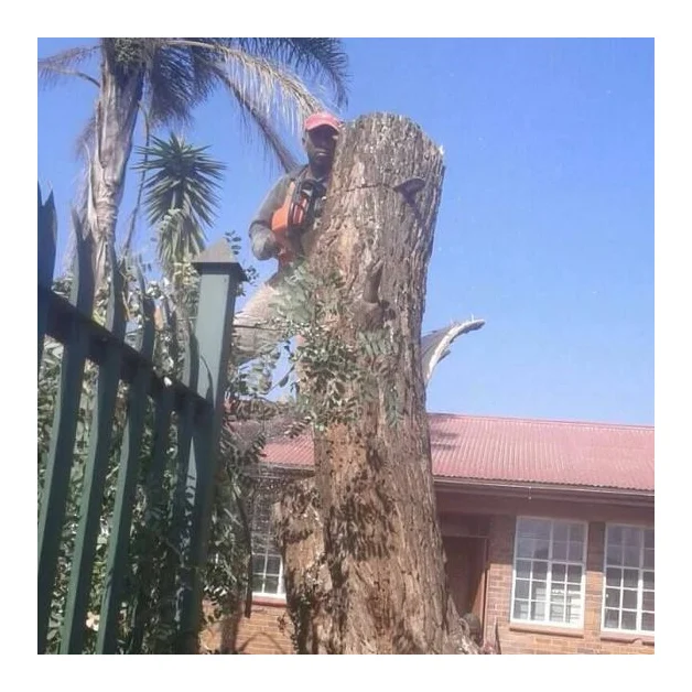 JT Tree Felling logo