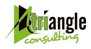 Triangle Consulting logo