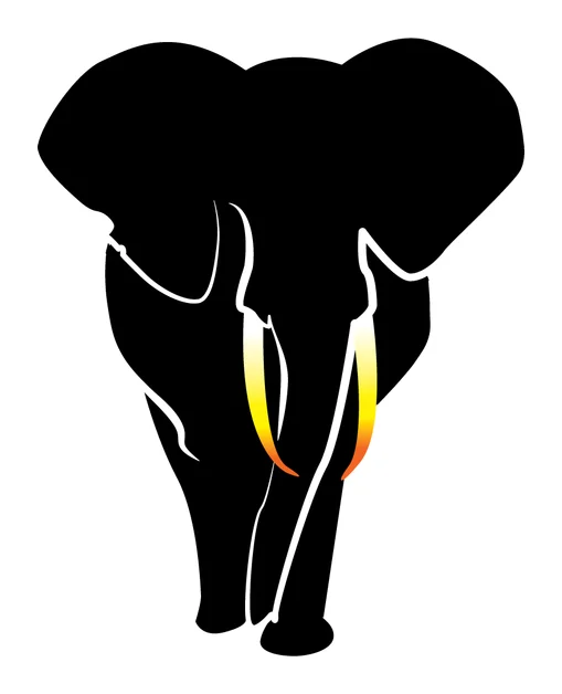 Victoria Falls Tours logo