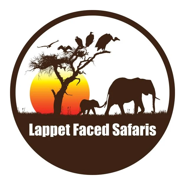 Lappet Faced Safaris logo