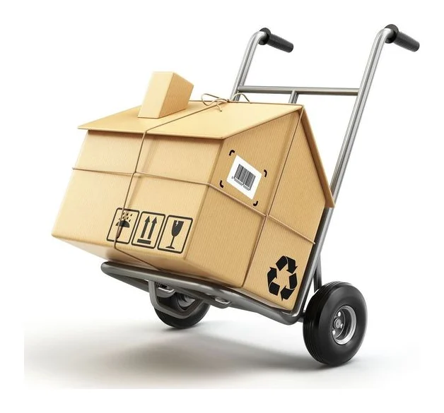 Pro Active Trucking and Movers (PTY) LTD logo