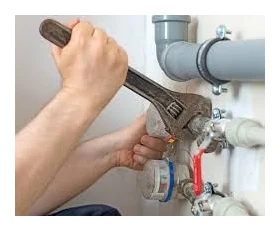 Randburg Plumbing Services logo