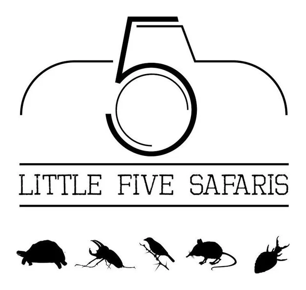Little Five Safaris logo