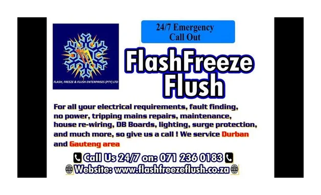 Flash Freeze Flush logo