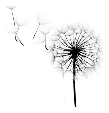 Dandelion Wishes logo