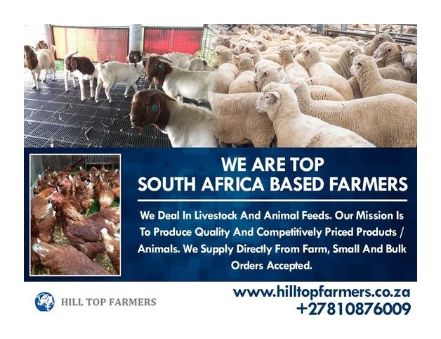 Hill Top Farmers Pty Ltd logo