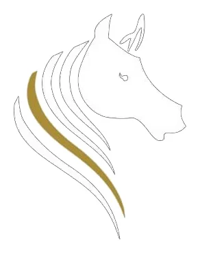 Stephenson Adventures logo