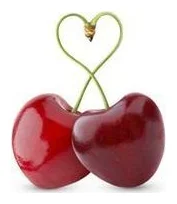 Maryke Oberholzer Dietician logo