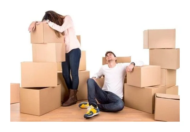 Duncan Logistics Removals Johannesburg logo