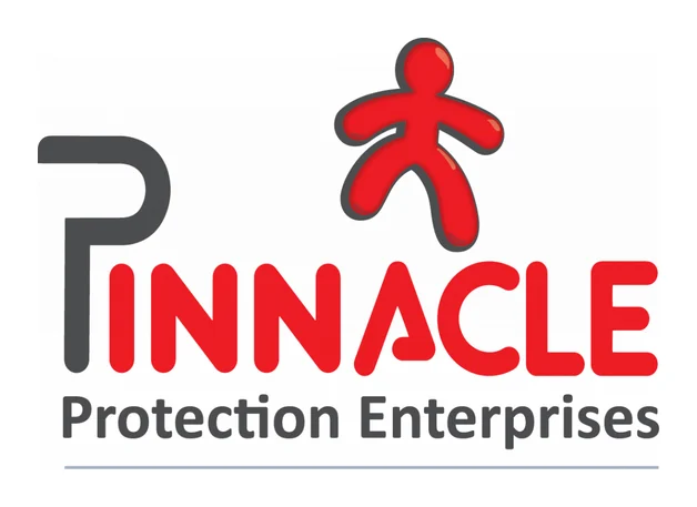 Pinnacle Protection Enterprises PPE logo