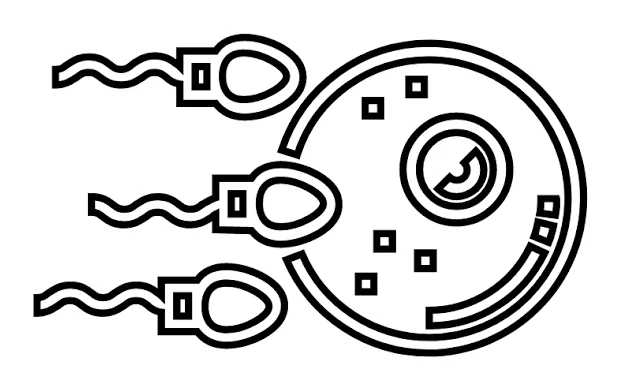 Fertile Eggs logo