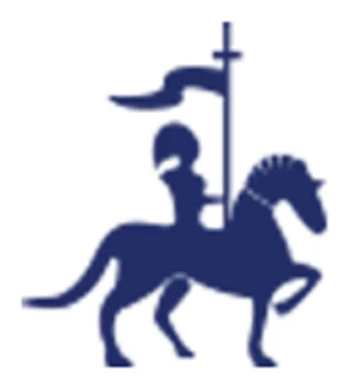Black Knight Security logo