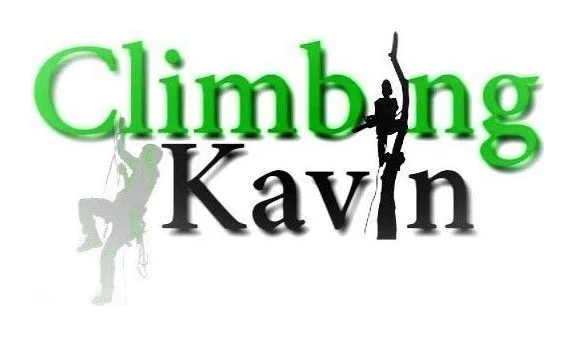Tree Felling Pretoria | Stump removal Pretori logo