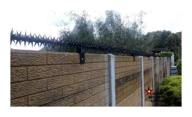 Star Security Spikes logo