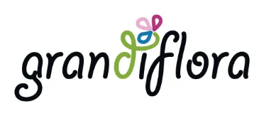 Grandiflora (Pty) Ltd - Decoration Shop logo