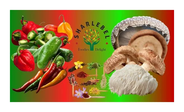 Sharlebel (Pty) Ltd logo